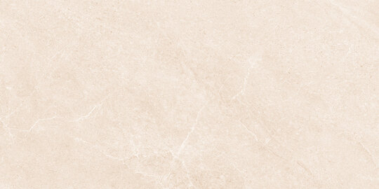 Керамогранит Global Tile Амбани Бежевый GT5010027502MSR 50*100 см