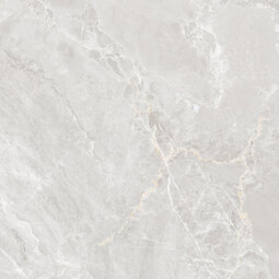 Керамогранит Globa Tile Боско / Bosco Светло-серый GT606025606MCR 60*60 см