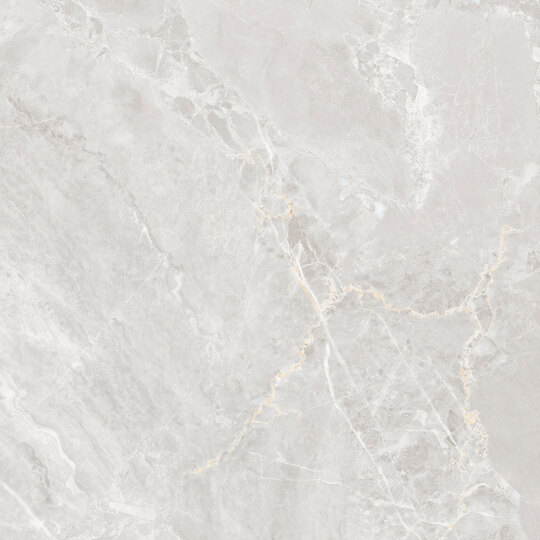 Керамогранит Globa Tile Боско / Bosco Светло-серый GT606025606MCR 60*60 см