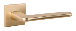 Дверная ручка TIXX 235-03 slim SSG Калатея золото матовое сатинированное