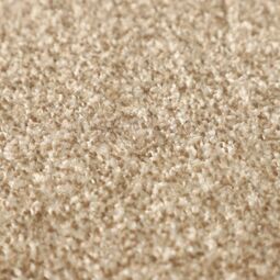 Ковровое покрытие Urggazcarpet Cardinal 10558 Cream+Coffee