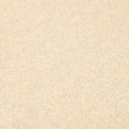 Ковровое покрытие Urggazcarpet Cardinal 10579 Whit+Cream