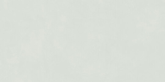 Керамогранит Global Tile Мечта Мятный GT5010026717MR 50*100 см