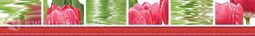 Бордюр для настенной плитки Нефрит-Керамика Тюльпаны светлый 50*7 см 77-05-47-160